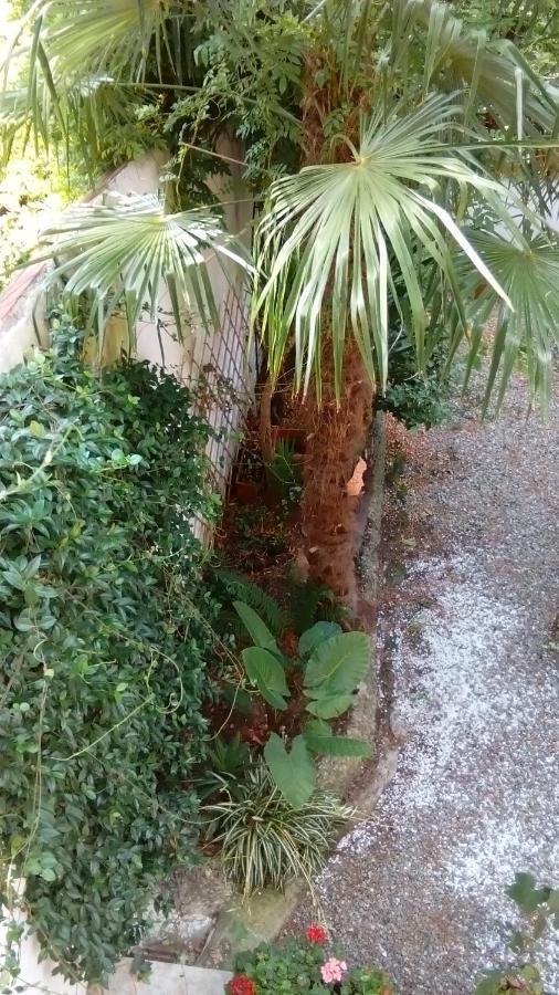 Apartamento Ninnananna
